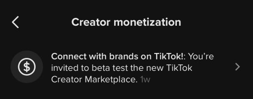 Programa creador de TikTok