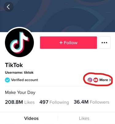Cómo hacer crecer tus seguidores de Instagram usando TikTok