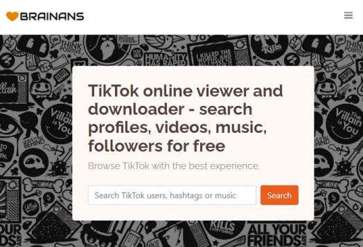 Visor en línea TikTok